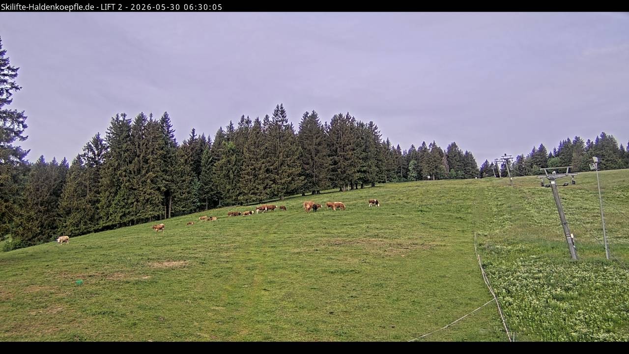 Archiv Foto Webcam Haldenköpfle - Blick zu Lift 2