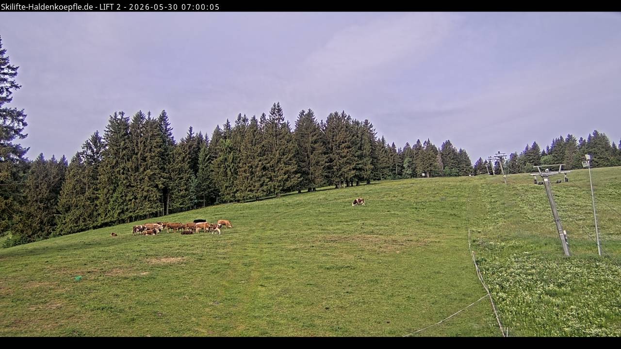 Archiv Foto Webcam Haldenköpfle - Blick zu Lift 2
