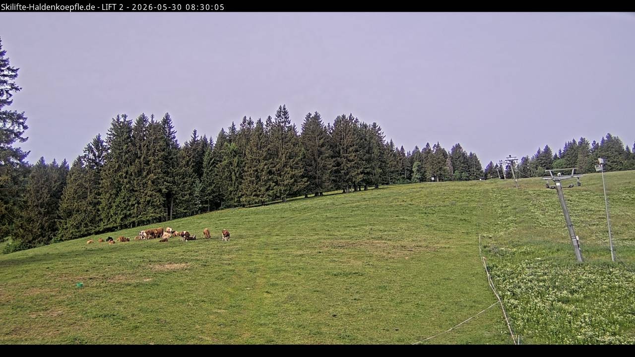 Archiv Foto Webcam Haldenköpfle - Blick zu Lift 2
