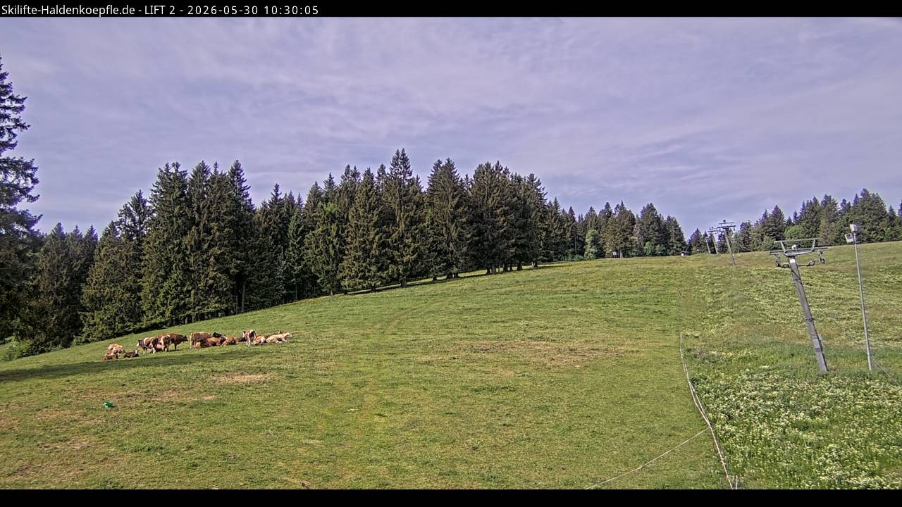 Archiv Foto Webcam Haldenköpfle - Blick zu Lift 2