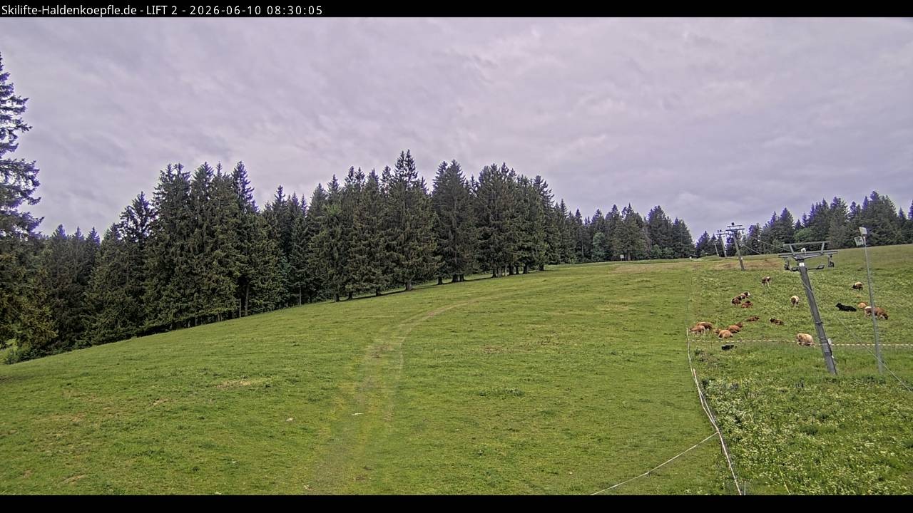 Archived image Webcam Haldenköpfle Mountain - Lift 2