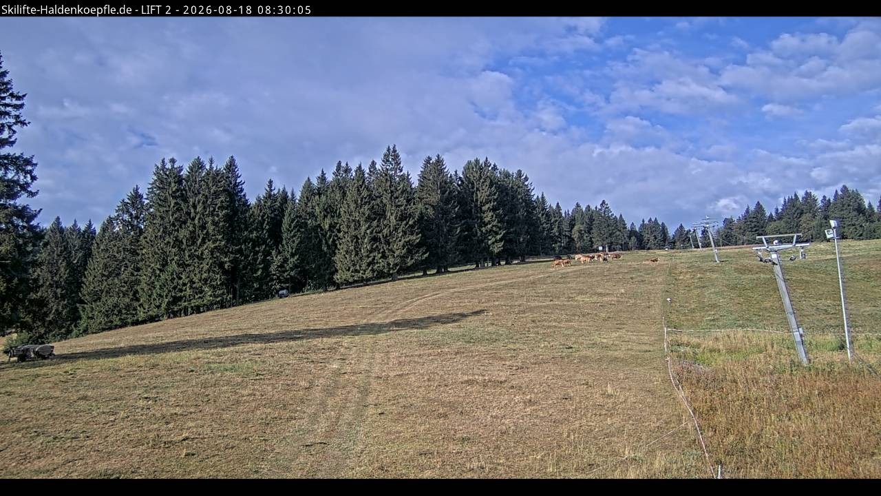 Archiv Foto Webcam Haldenköpfle - Blick zu Lift 2