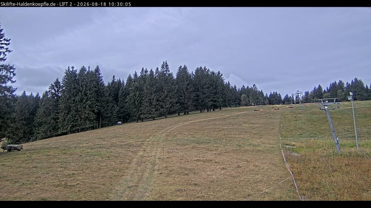 Archiv Foto Webcam Haldenköpfle - Blick zu Lift 2