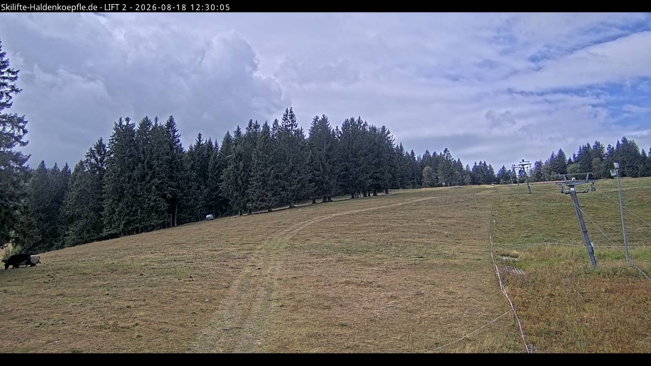 Archiv Foto Webcam Haldenköpfle - Blick zu Lift 2