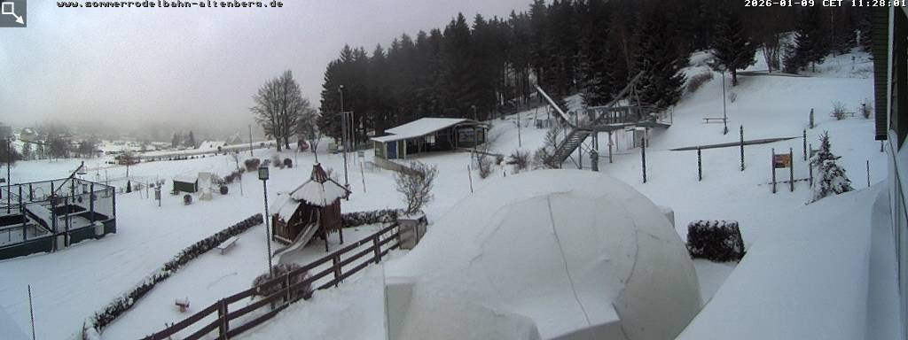 Archiv Foto Altenberg: Webcam Sommerrodelbahn