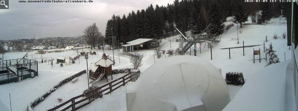 Archiv Foto Altenberg: Webcam Sommerrodelbahn