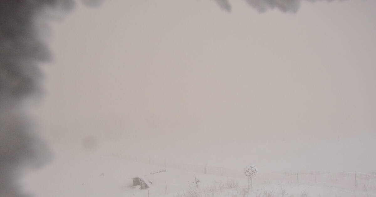 Archiv Foto Webcam Panoramablick Vogelschmiede auf der Herchenhainer Höhe