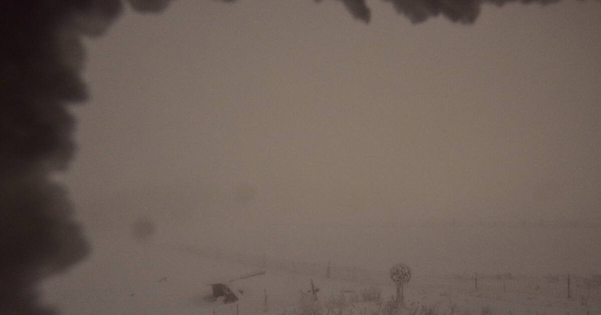 Archiv Foto Webcam Panoramablick Vogelschmiede auf der Herchenhainer Höhe