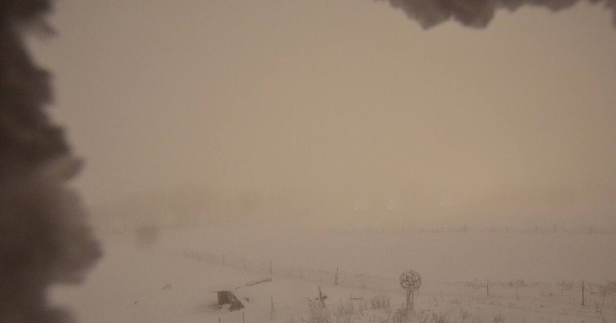 Archiv Foto Webcam Panoramablick Vogelschmiede auf der Herchenhainer Höhe