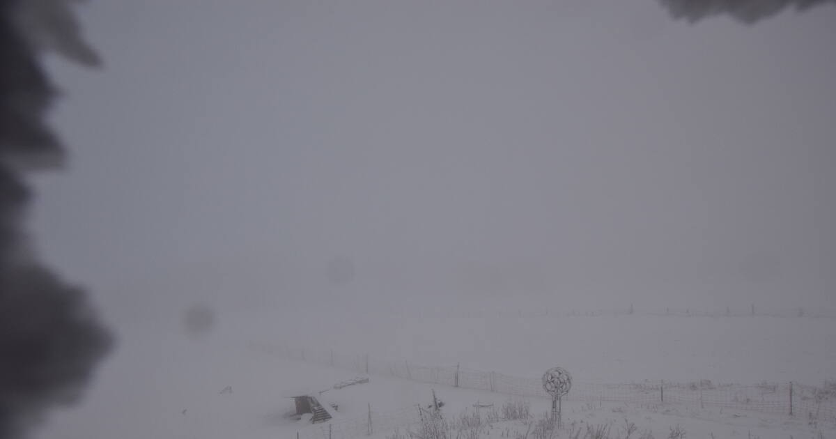 Archiv Foto Webcam Panoramablick Vogelschmiede auf der Herchenhainer Höhe