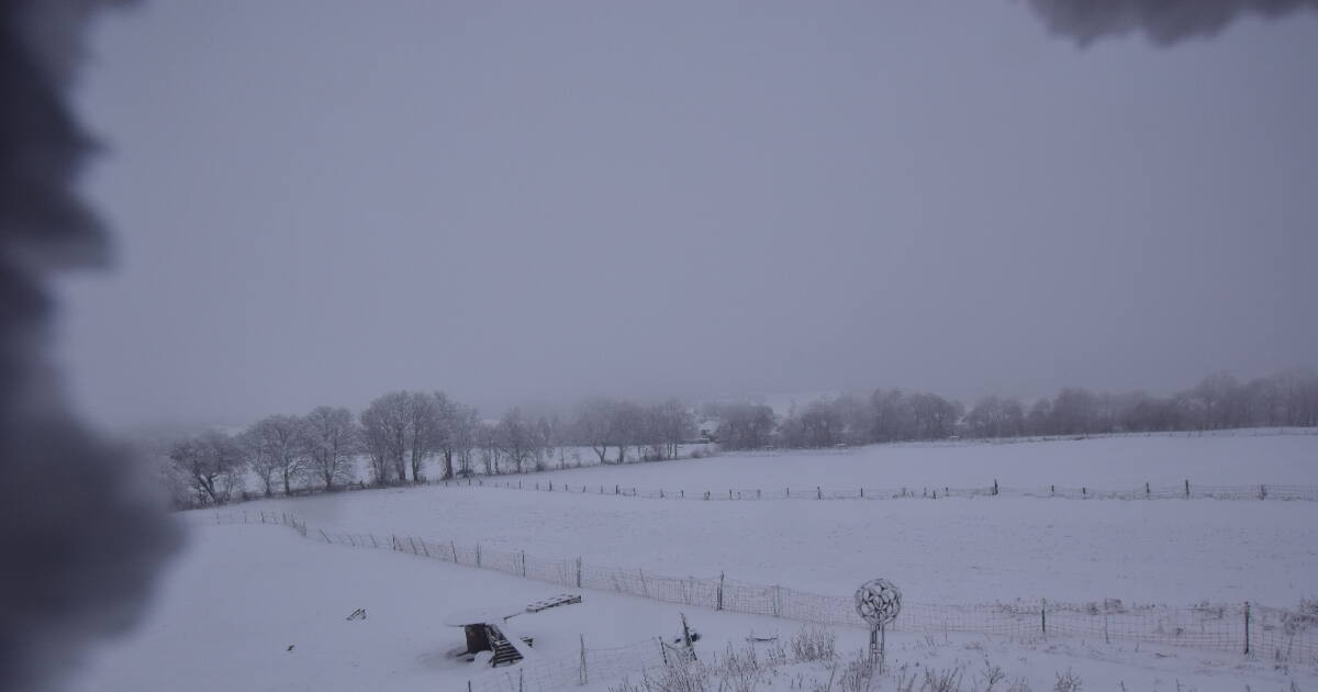 Archiv Foto Webcam Panoramablick Vogelschmiede auf der Herchenhainer Höhe