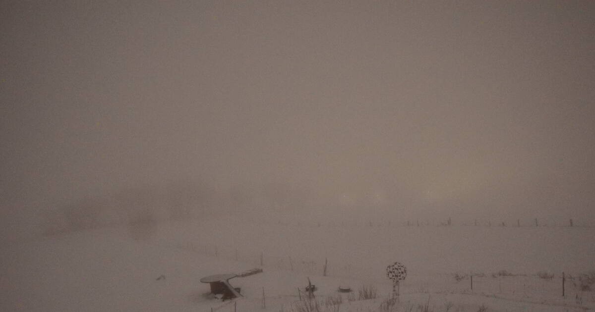 Archiv Foto Webcam Panoramablick Vogelschmiede auf der Herchenhainer Höhe