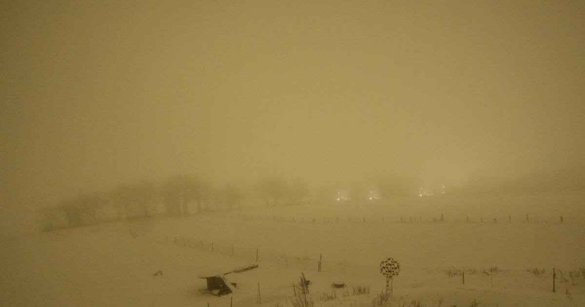 Archiv Foto Webcam Panoramablick Vogelschmiede auf der Herchenhainer Höhe