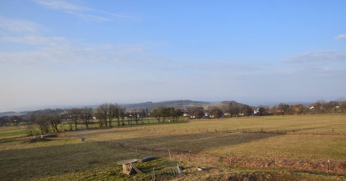 Archiv Foto Webcam Panoramablick Vogelschmiede auf der Herchenhainer Höhe