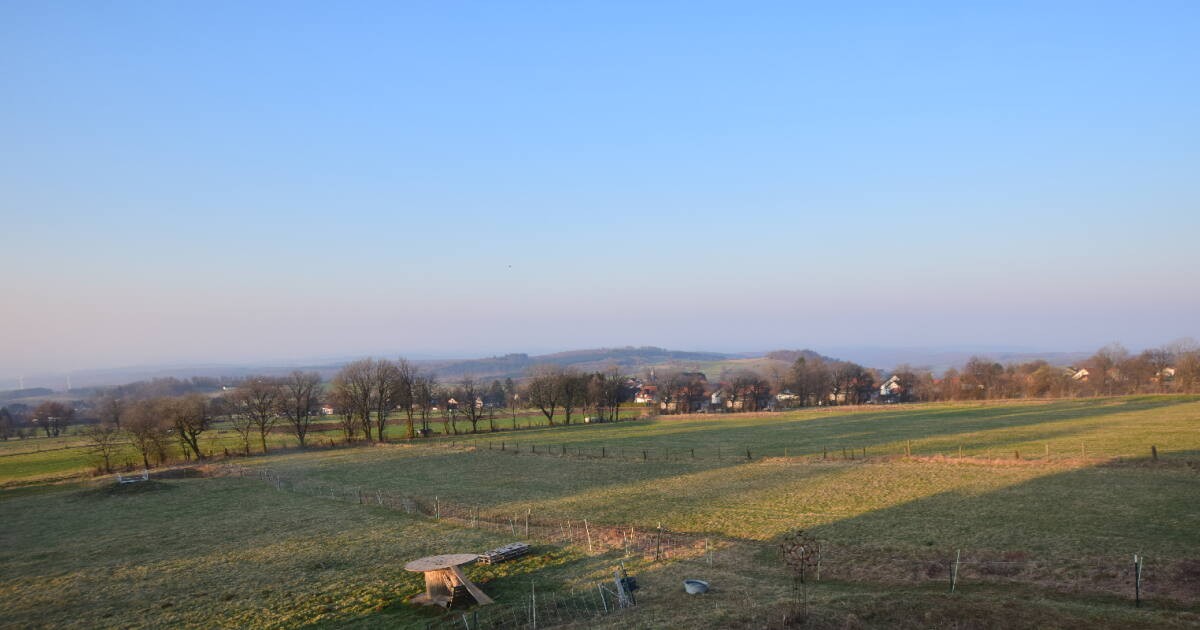 Archiv Foto Webcam Panoramablick Vogelschmiede auf der Herchenhainer Höhe