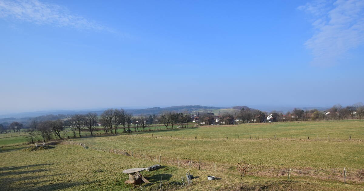 Archiv Foto Webcam Panoramablick Vogelschmiede auf der Herchenhainer Höhe