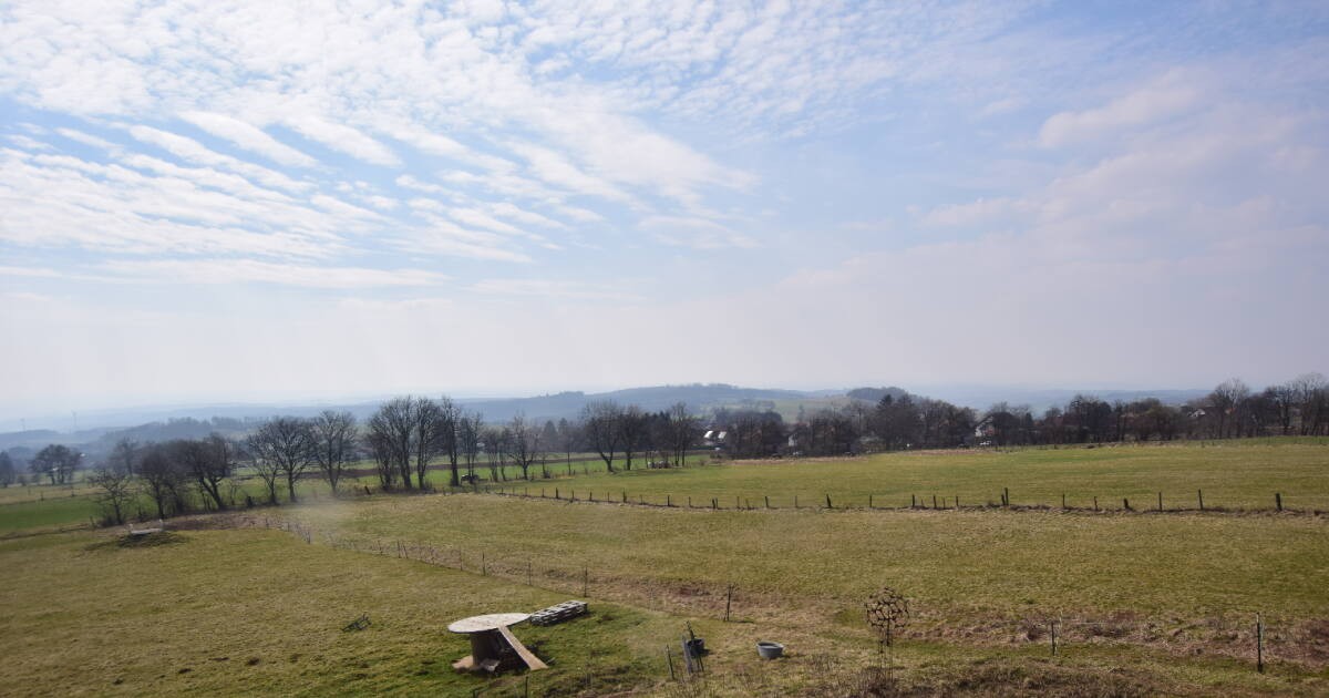 Archiv Foto Webcam Panoramablick Vogelschmiede auf der Herchenhainer Höhe