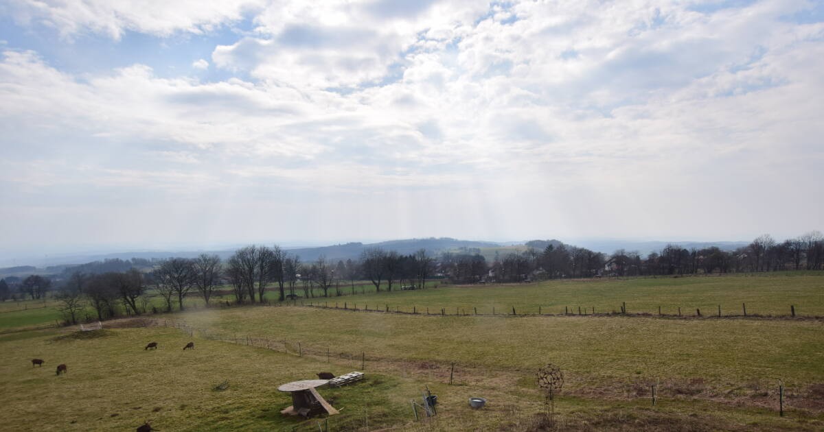 Archiv Foto Webcam Panoramablick Vogelschmiede auf der Herchenhainer Höhe