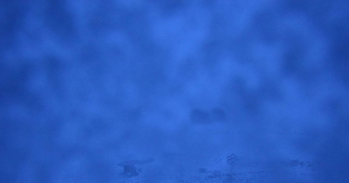 Archiv Foto Webcam Panoramablick Vogelschmiede auf der Herchenhainer Höhe