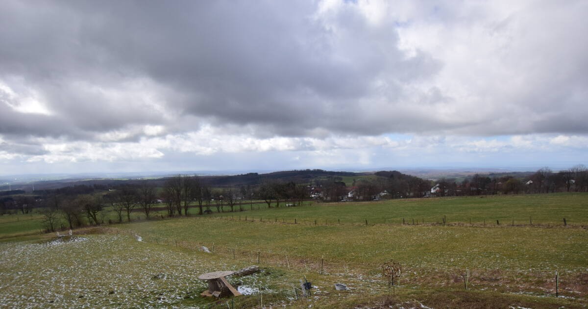 Archiv Foto Webcam Panoramablick Vogelschmiede auf der Herchenhainer Höhe