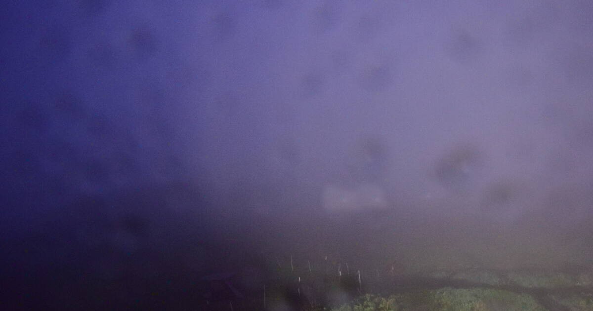 Archived image Webcam Panoramic View Herchenhainer Höhe