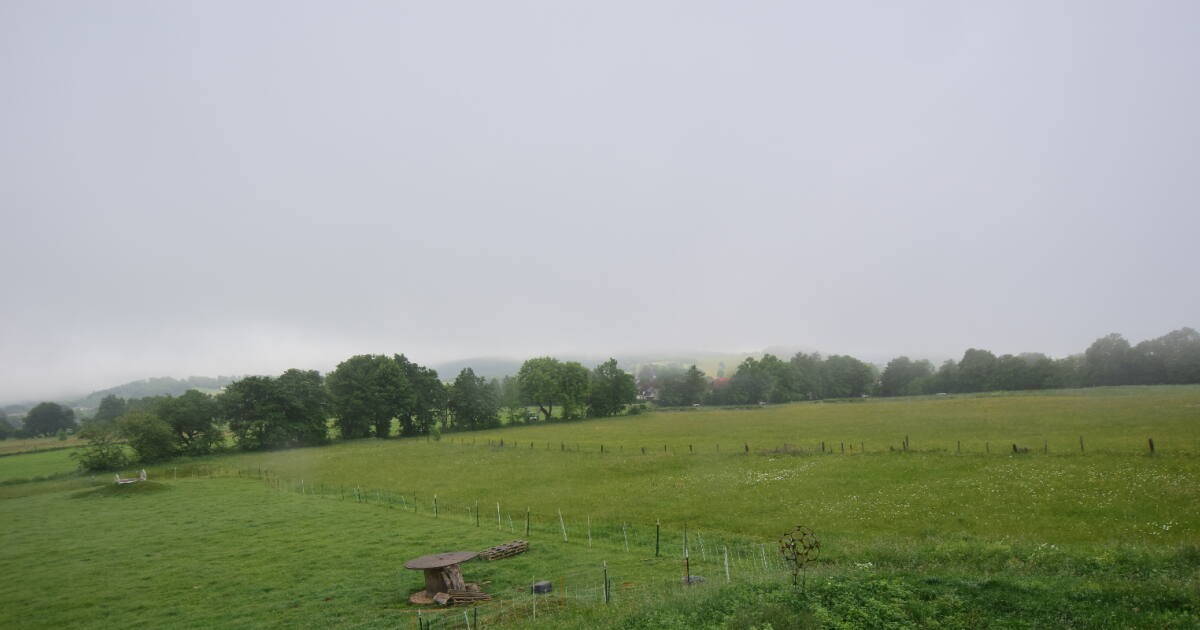 Archived image Webcam Panoramic View Herchenhainer Höhe