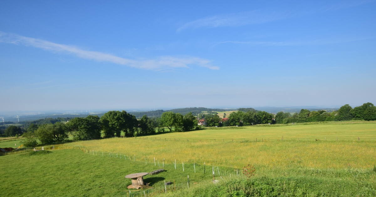 Archiv Foto Webcam Panoramablick Vogelschmiede auf der Herchenhainer Höhe