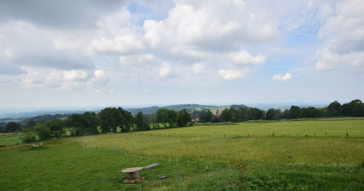 Archiv Foto Webcam Panoramablick Vogelschmiede auf der Herchenhainer Höhe
