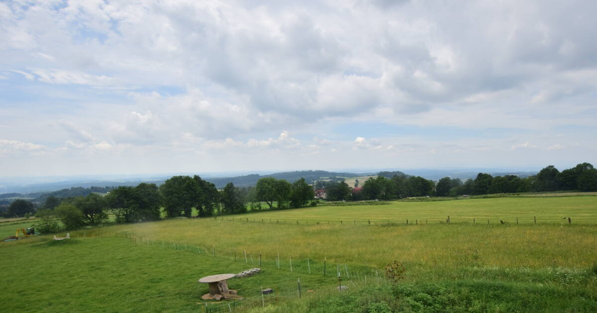 Archiv Foto Webcam Panoramablick Vogelschmiede auf der Herchenhainer Höhe