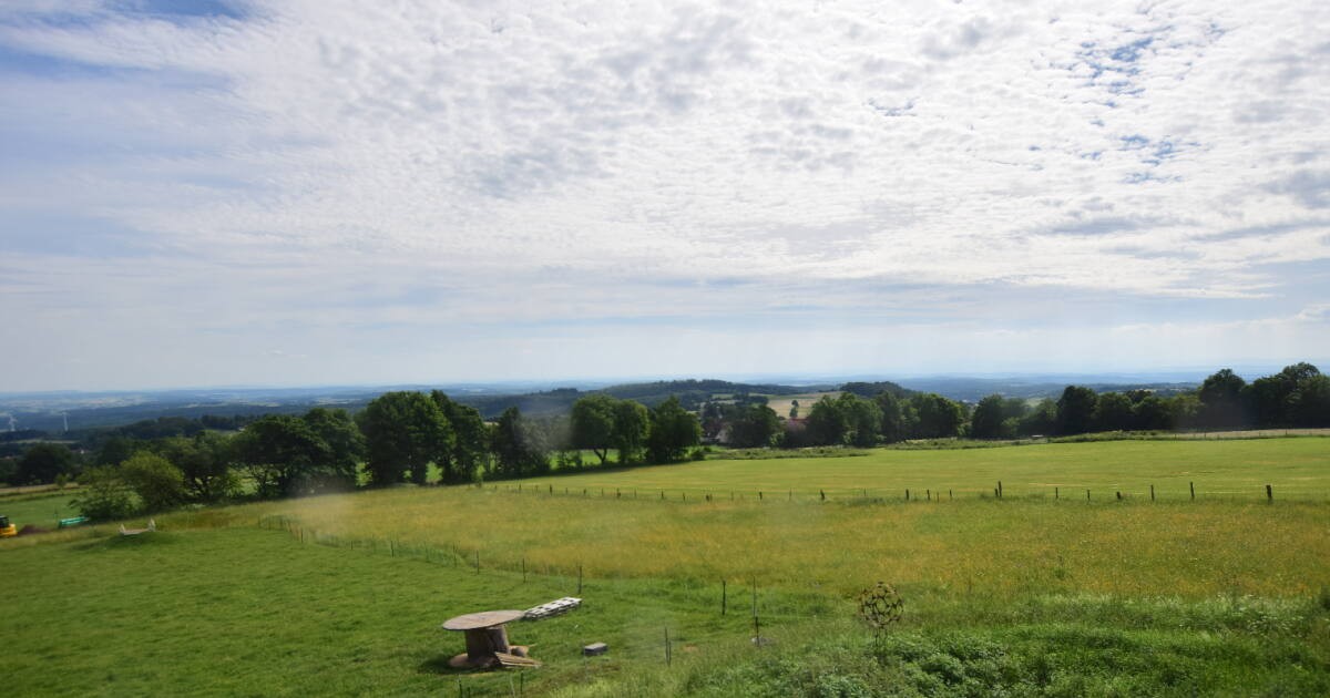 Archiv Foto Webcam Panoramablick Vogelschmiede auf der Herchenhainer Höhe