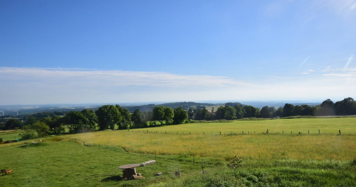 Archiv Foto Webcam Panoramablick Vogelschmiede auf der Herchenhainer Höhe