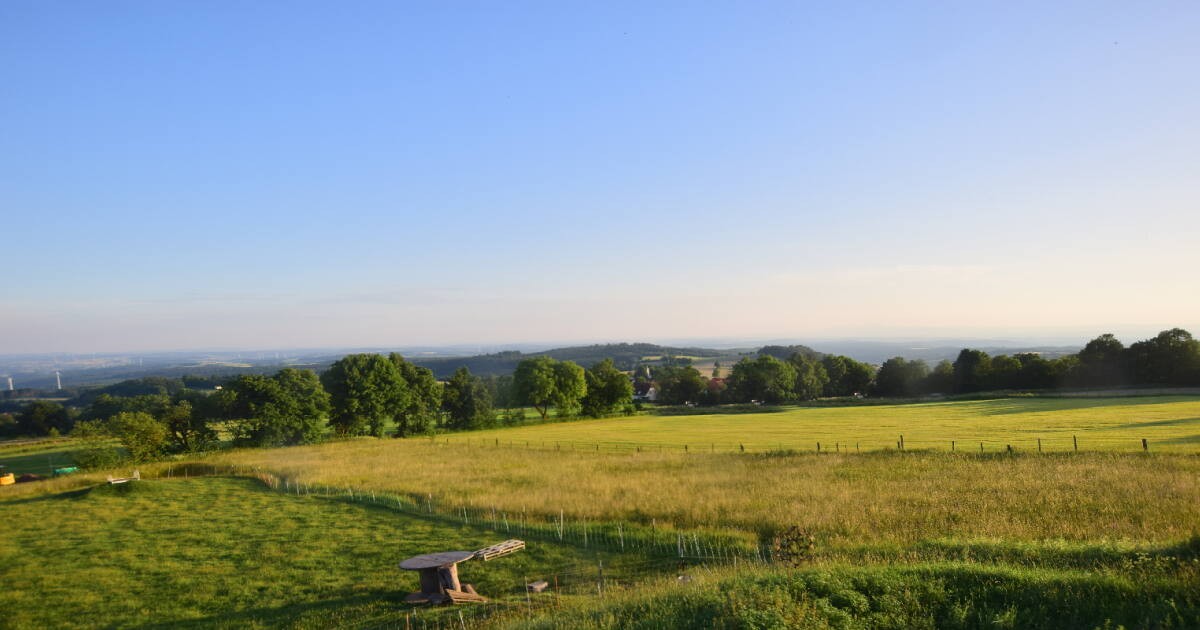 Archiv Foto Webcam Panoramablick Vogelschmiede auf der Herchenhainer Höhe
