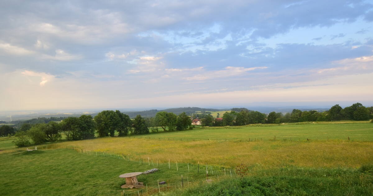 Archiv Foto Webcam Panoramablick Vogelschmiede auf der Herchenhainer Höhe