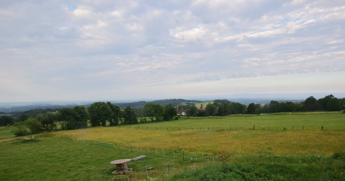 Archiv Foto Webcam Panoramablick Vogelschmiede auf der Herchenhainer Höhe