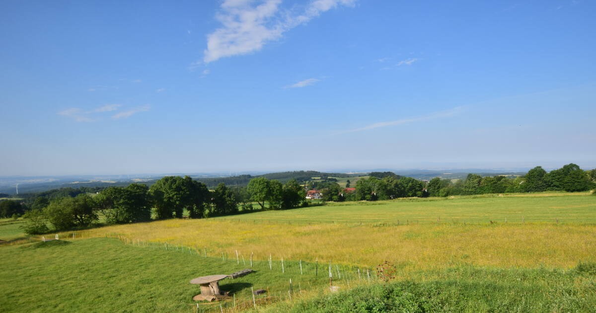 Archiv Foto Webcam Panoramablick Vogelschmiede auf der Herchenhainer Höhe