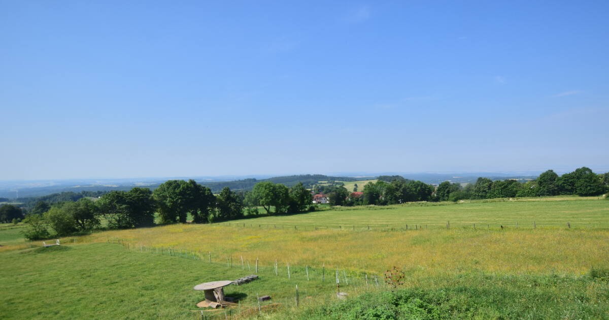 Archiv Foto Webcam Panoramablick Vogelschmiede auf der Herchenhainer Höhe