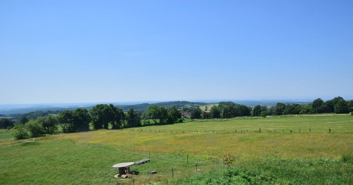 Archiv Foto Webcam Panoramablick Vogelschmiede auf der Herchenhainer Höhe