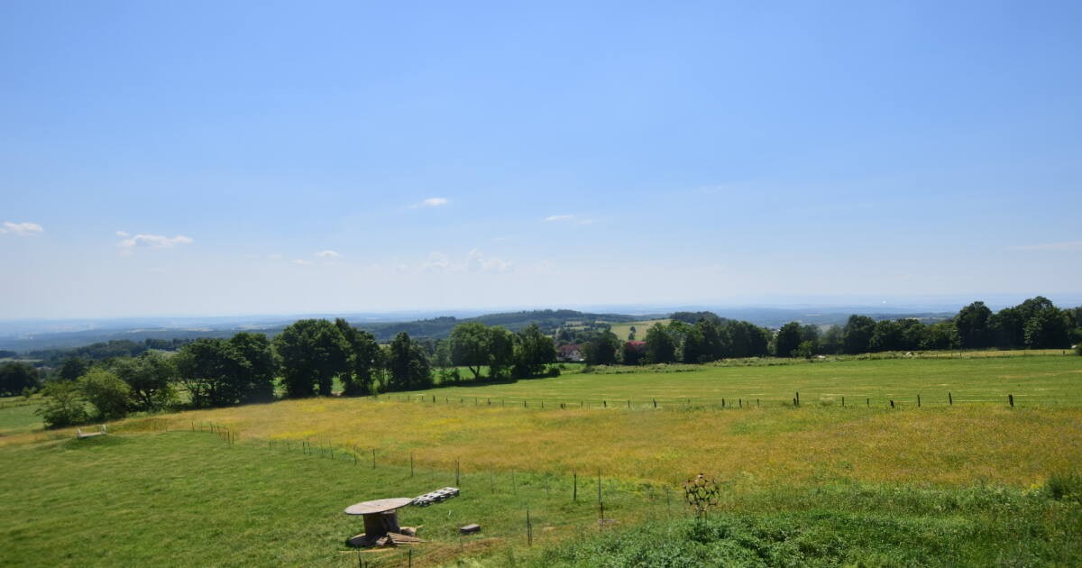 Archiv Foto Webcam Panoramablick Vogelschmiede auf der Herchenhainer Höhe