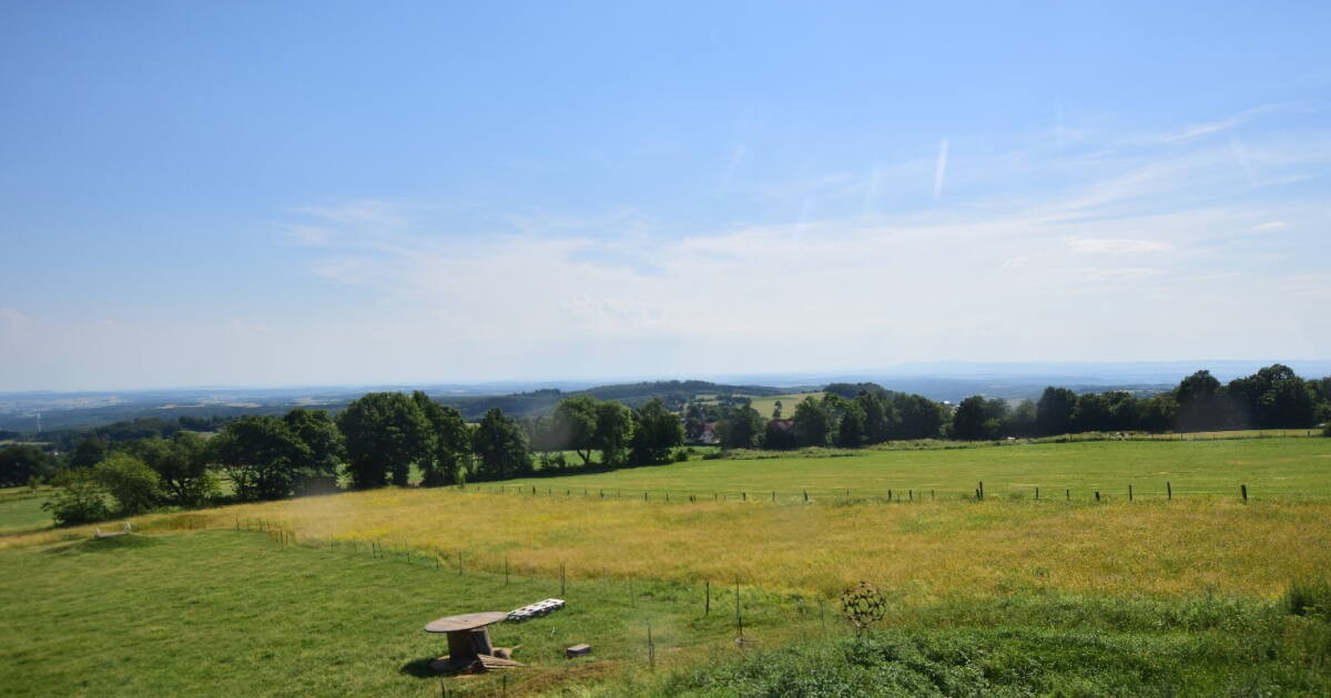 Archiv Foto Webcam Panoramablick Vogelschmiede auf der Herchenhainer Höhe