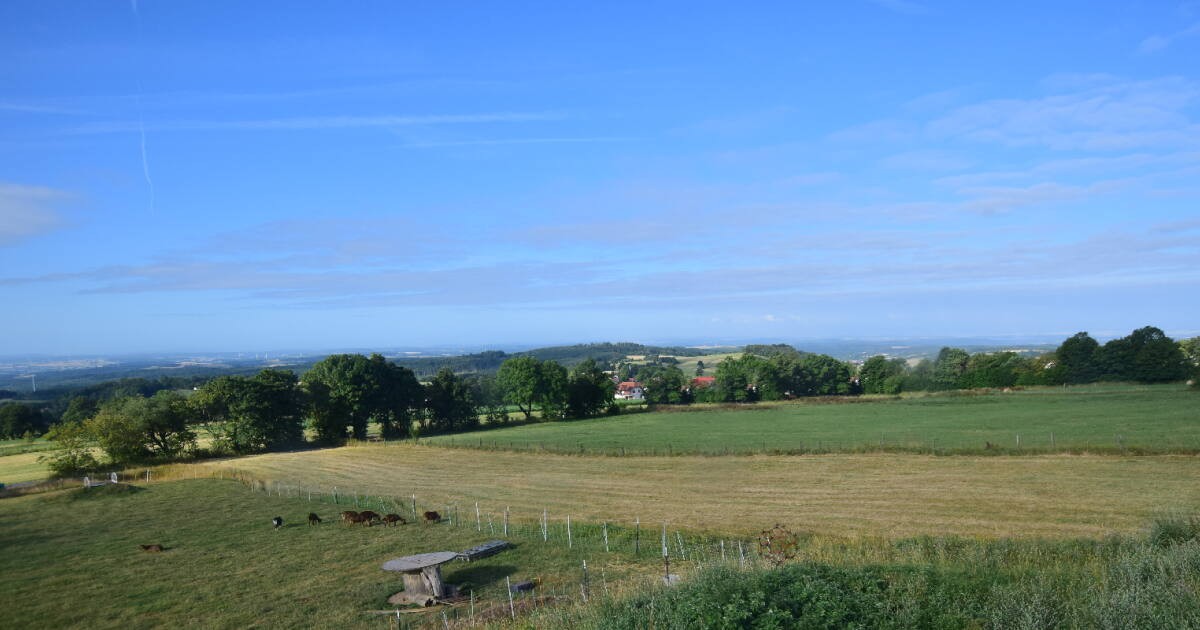 Archiv Foto Webcam Panoramablick Vogelschmiede auf der Herchenhainer Höhe