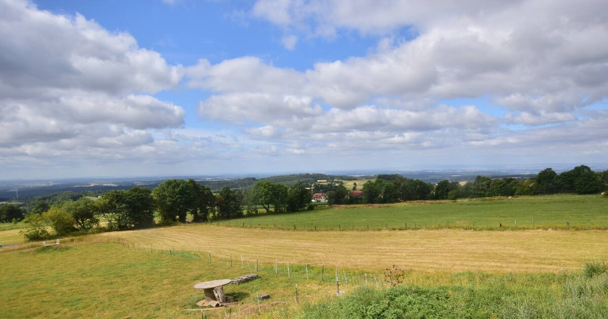 Archiv Foto Webcam Panoramablick Vogelschmiede auf der Herchenhainer Höhe