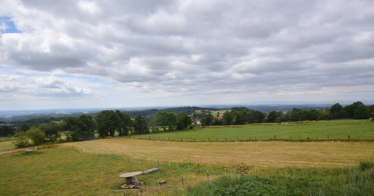 Archiv Foto Webcam Panoramablick Vogelschmiede auf der Herchenhainer Höhe