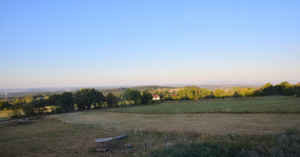 Archiv Foto Webcam Panoramablick Vogelschmiede auf der Herchenhainer Höhe