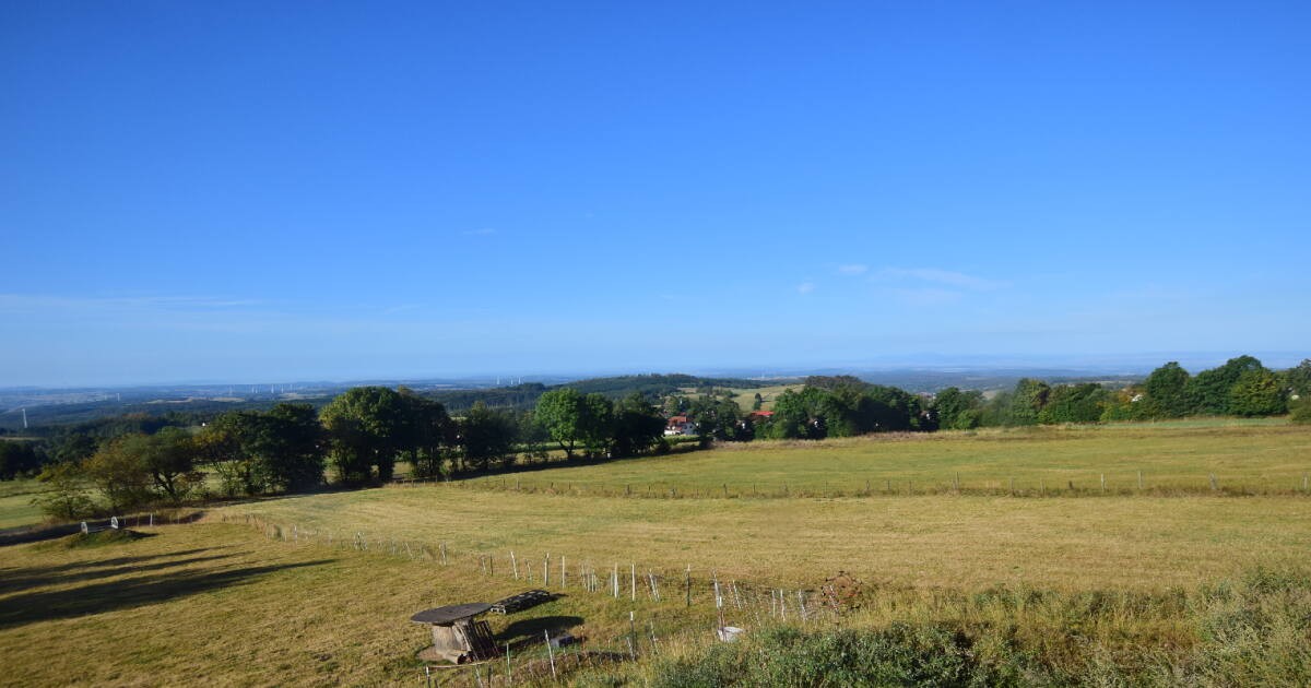 Archiv Foto Webcam Panoramablick Vogelschmiede auf der Herchenhainer Höhe