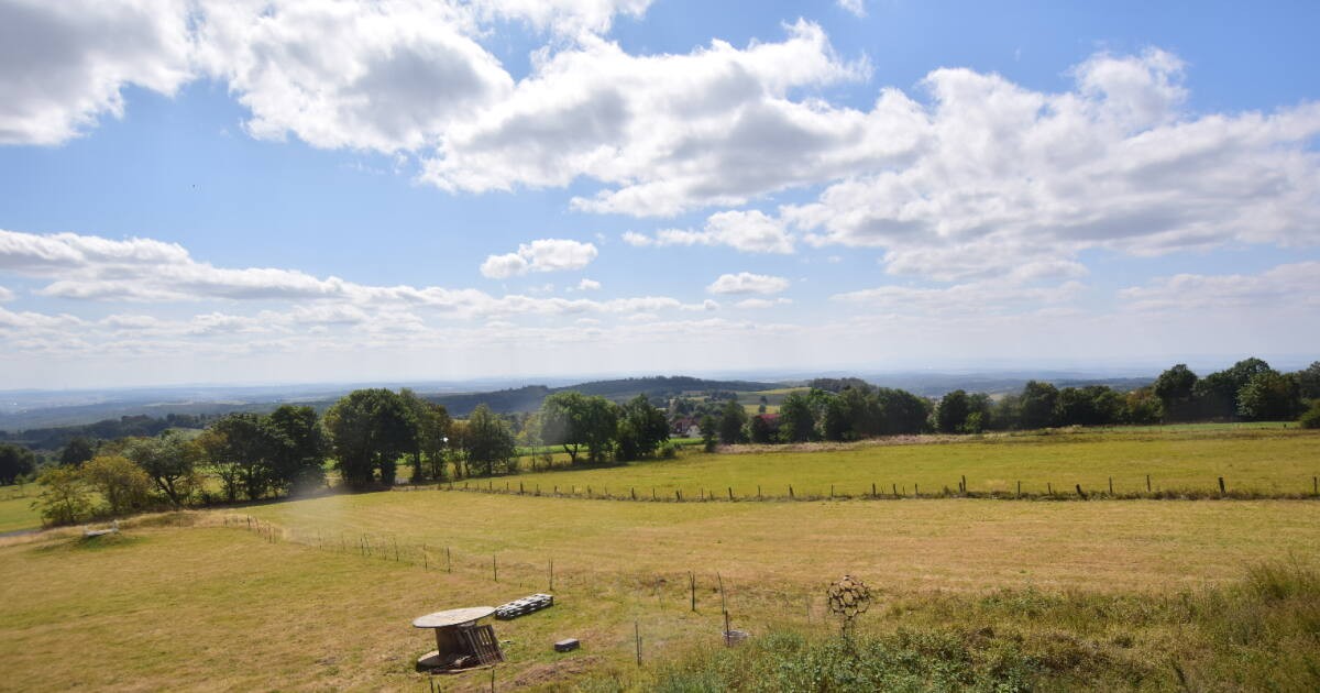 Archiv Foto Webcam Panoramablick Vogelschmiede auf der Herchenhainer Höhe