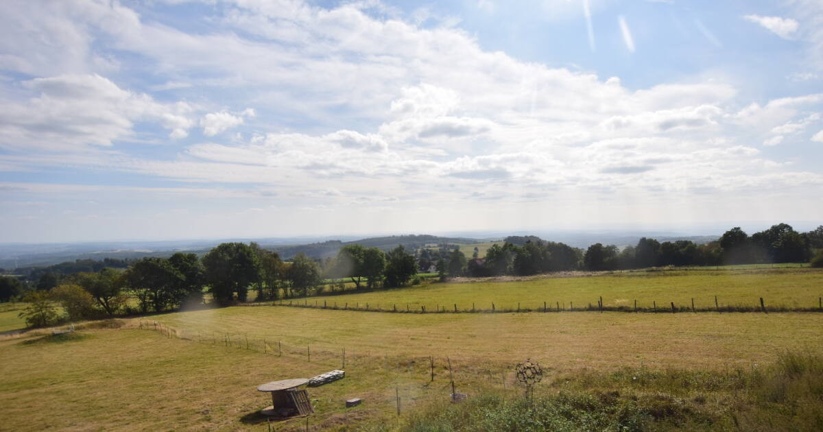 Archiv Foto Webcam Panoramablick Vogelschmiede auf der Herchenhainer Höhe