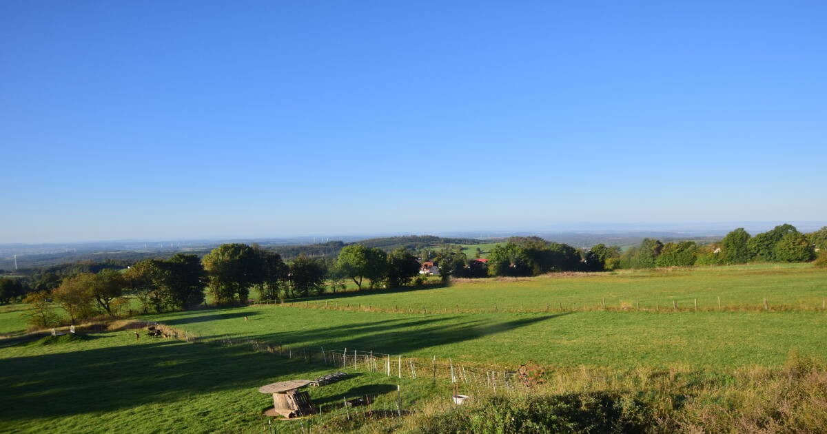 Archiv Foto Webcam Panoramablick Vogelschmiede auf der Herchenhainer Höhe
