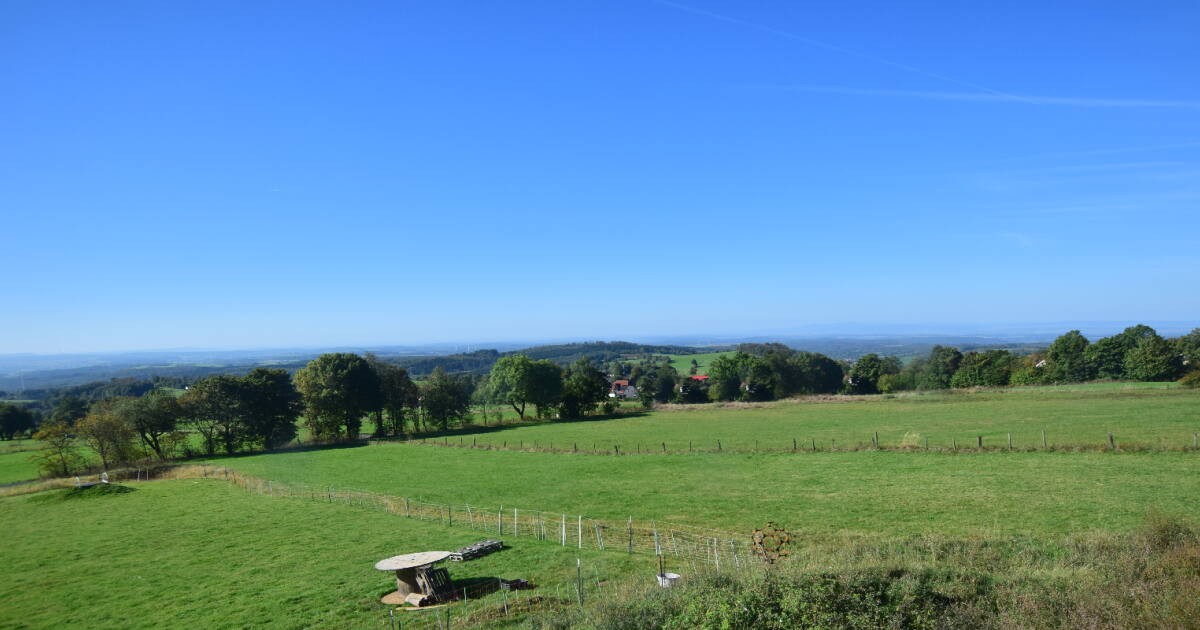 Archived image Webcam Panoramic View Herchenhainer Höhe