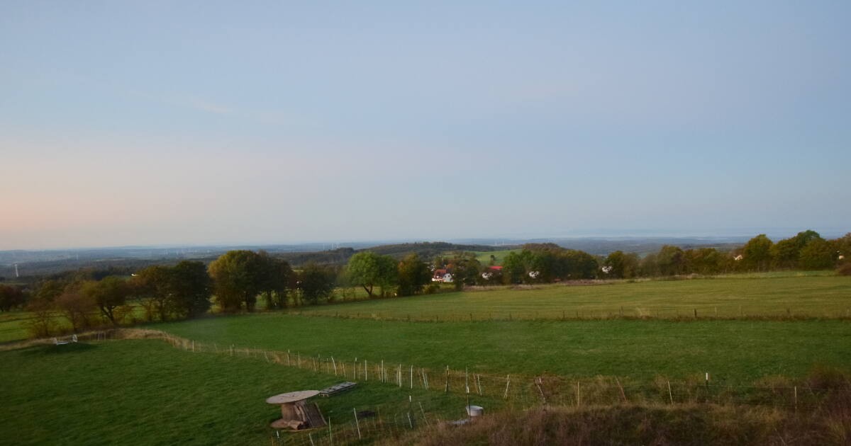 Archiv Foto Webcam Panoramablick Vogelschmiede auf der Herchenhainer Höhe