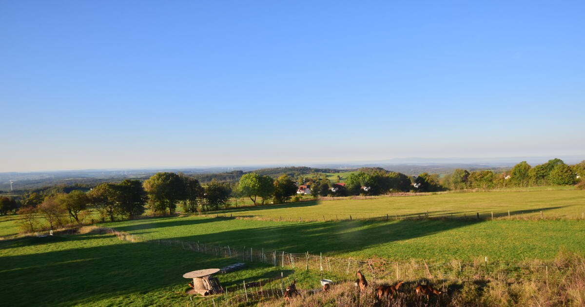 Archiv Foto Webcam Panoramablick Vogelschmiede auf der Herchenhainer Höhe